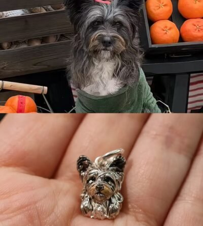 Handmade Pet Necklace